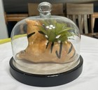 Foto 5 di 10