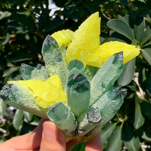 Cuarzo fantasma verde nuevo de 1,36 lb con muestra mineral en racimo de azufre amarillo - Imagen 9 de 15