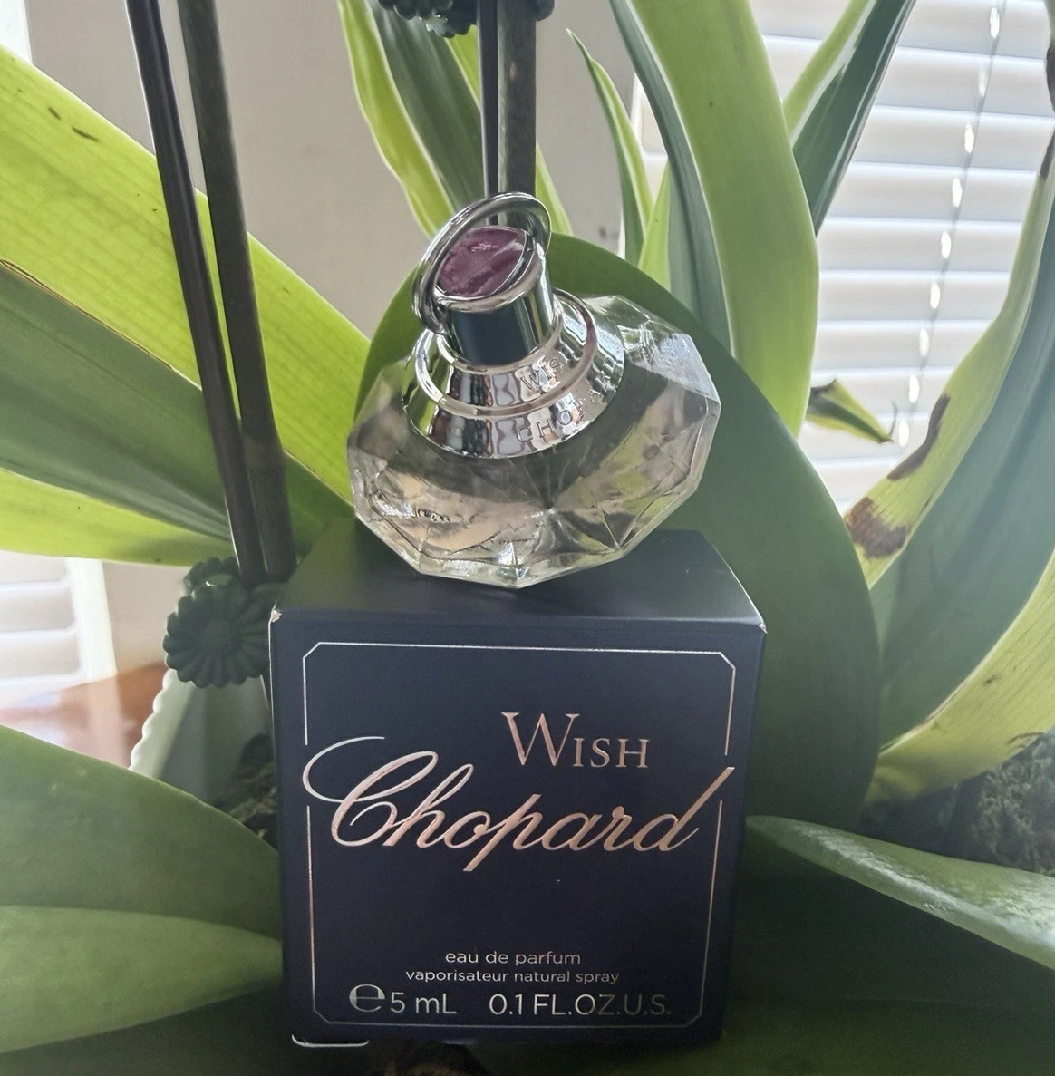 Chopard Wish Eau de Parfum for Women for sale | eBay