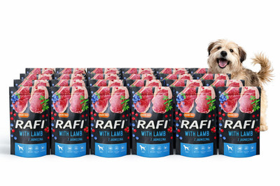 Nassfutter für Hunde Rafi mit Lamm   Set 20x 500 g Dolina Noteci