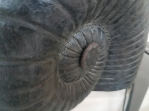 Sarreid Ltd Grande NAUTILUS Shell Firmado BILLY MOON Escultura Estatua Cerámica - Imagen 4 de 9
