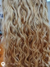 Hand Tied 22" Color 14/24 Bohyme Gold