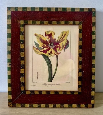 Antique 1800s Botanical Engraving Tulip Folk Art Frame Hand Colored Print