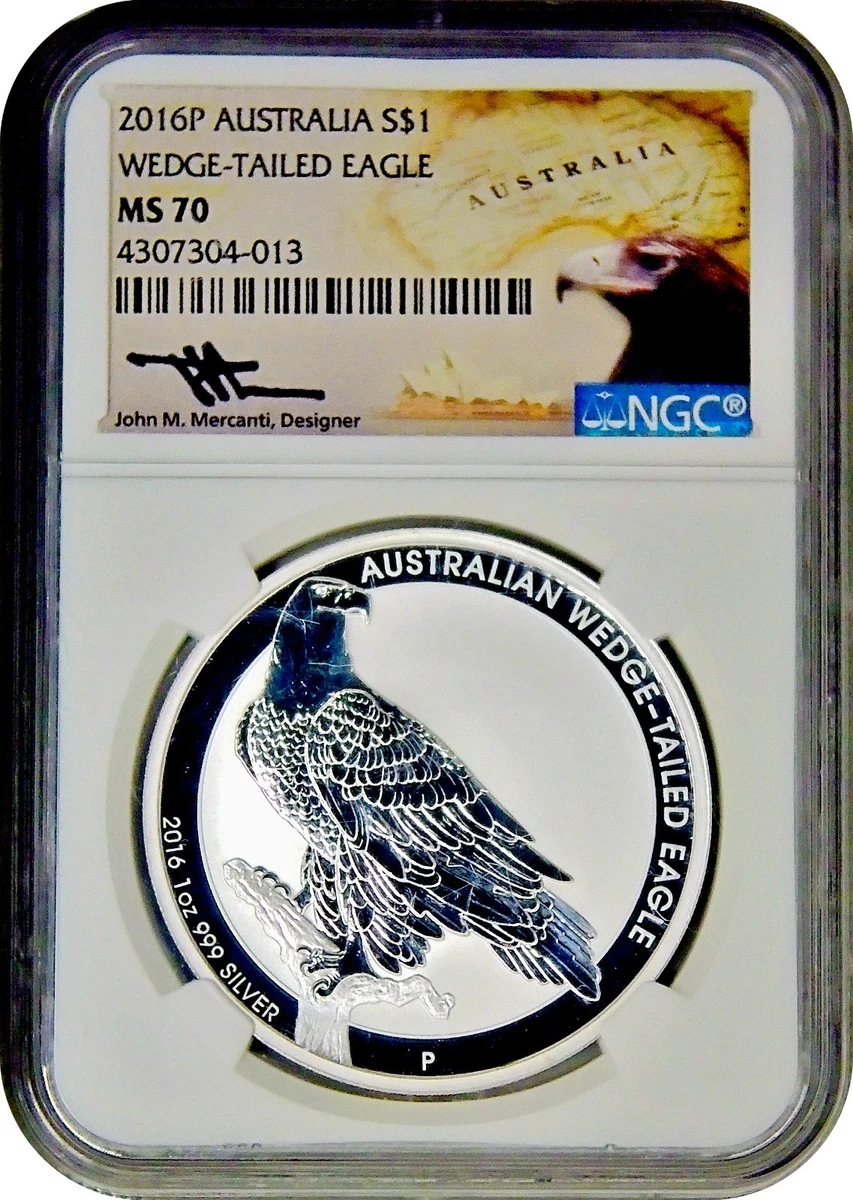 Wedge Tailed Eagle for sale | eBay