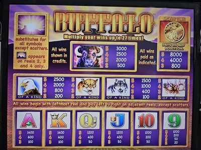 Aristocrat Viridian Buffalo 243 Ways Xtra Reel Power Software CF