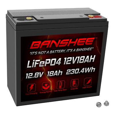 12V 18Ah LiFePO4 Battery Deep Cycle, 3000+ Cycles, Built-in BMS for UPS