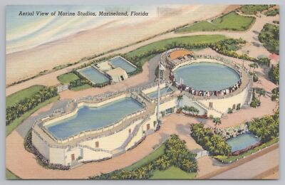 Linen~Air View Marine Studios Marineland Florida~Vintage Postcard