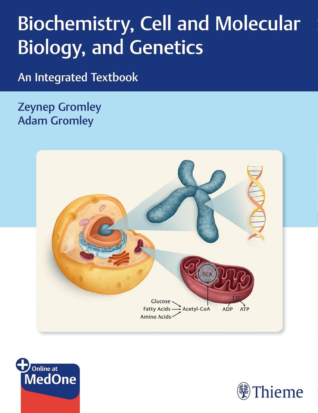 Thumbnail - Biochemistry, Cell And Molecular Biology, And Genetics | Zeynep