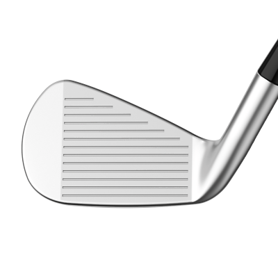 Callaway Apex Pro 2024 Irons - Dynamic Gold Mid 115 Steel | eBay
