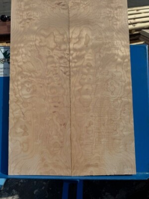 Quilted Maple 1/2'' Quilt DENSE Bookmatch KD Big Leaf 22''x15''x.5'' Fig Carve Top