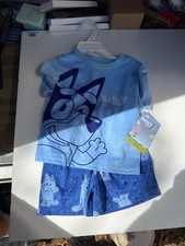 Bluey Toddler Boys 2-Piece Short Sleeve Graphic T-Shirt and Shorts Pajama Set, S