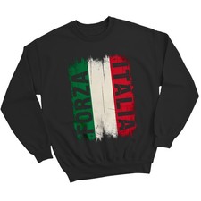 Forza Italia Flag Italy Cool Italian Flags Unisex Sweatshirt
