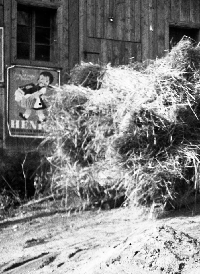 MÖNICHWALD pueblo, vaca, póster HENKO, por Eduard PEZDIKA, negado de bellas artes vintage Foto 2 de 4