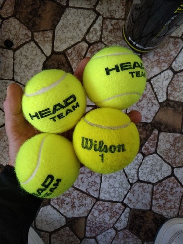 HEAD TEAM tennis balls 4pack - Picture 2 of 2