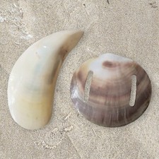 Vintage Bari Products Two Polished Seashell Belt Buckles