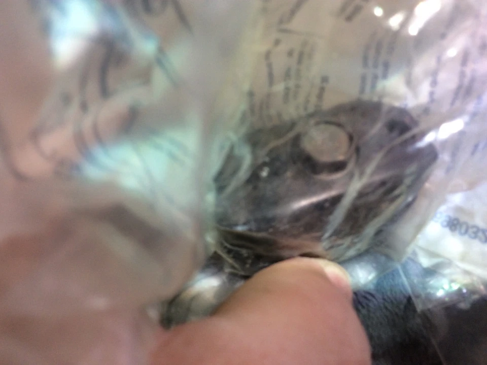 (4) Empalmes de caída de teléfono aéreo miniatura AMP de NOS 698032-2 Foto 3 de 4