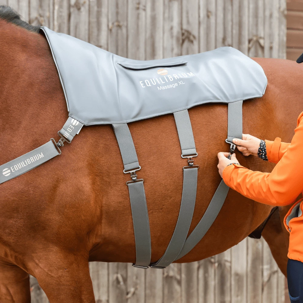 Horse cheap massage pad