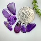 Foto 12 di 12