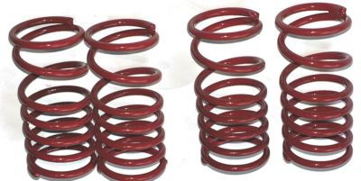 E-Revo or Revo 3.3 Red Dual Rate Shock Springs Set | eBay