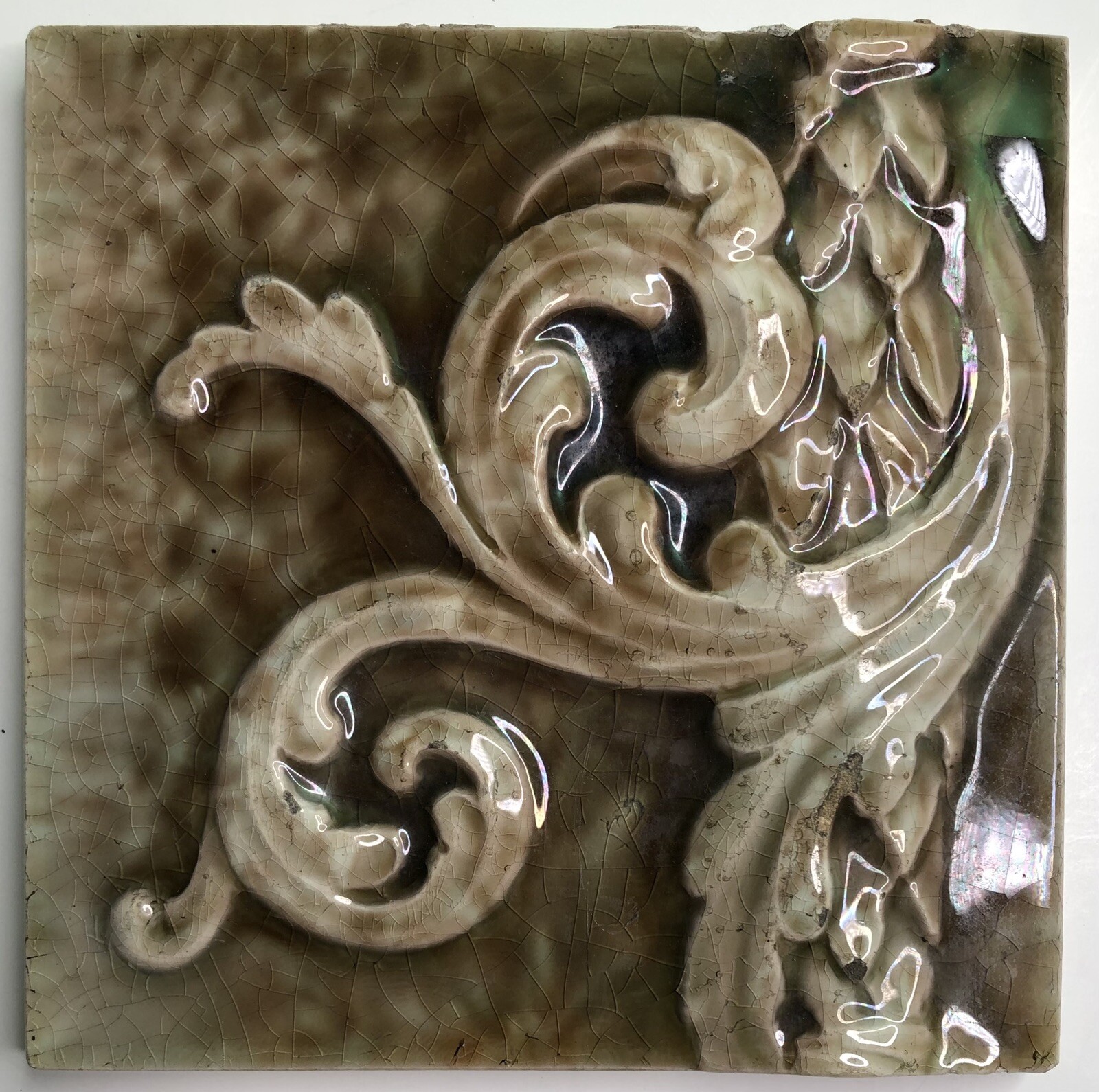 Picture 6 of 6
