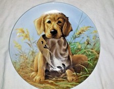 Puppy Dog Knowles Collectors Plate Golden Retriever Hunter Decoration