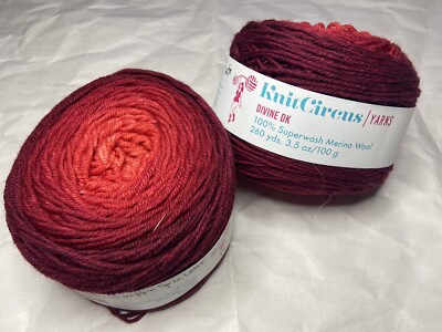 Knit Circus Yarns Divine DK 2-skein Bundle / Chromatic Gradient / 260yds ea