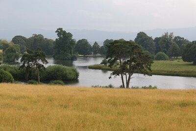 Petworth Park Original Fotodruck A1 Box Leinwand Wandbild Kunstwerk
