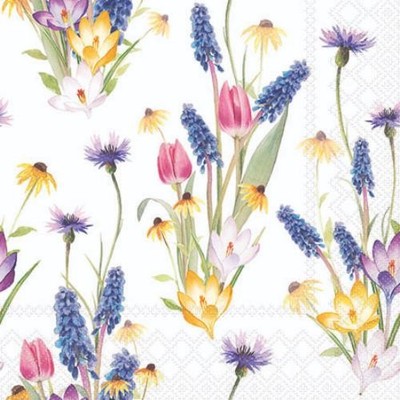 Servietten 25 x 25 cm  Hello spring