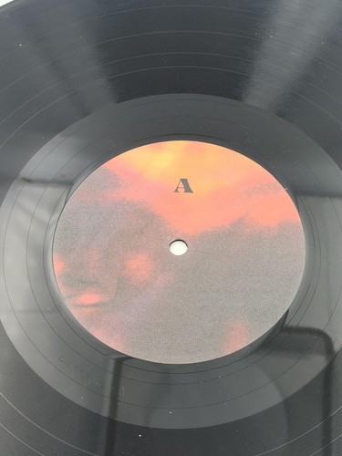 Father Vinyl Record Come Outside Won't Goon Jump You Hip Hop Rap Album 2021 Art - Foto 8 di 10