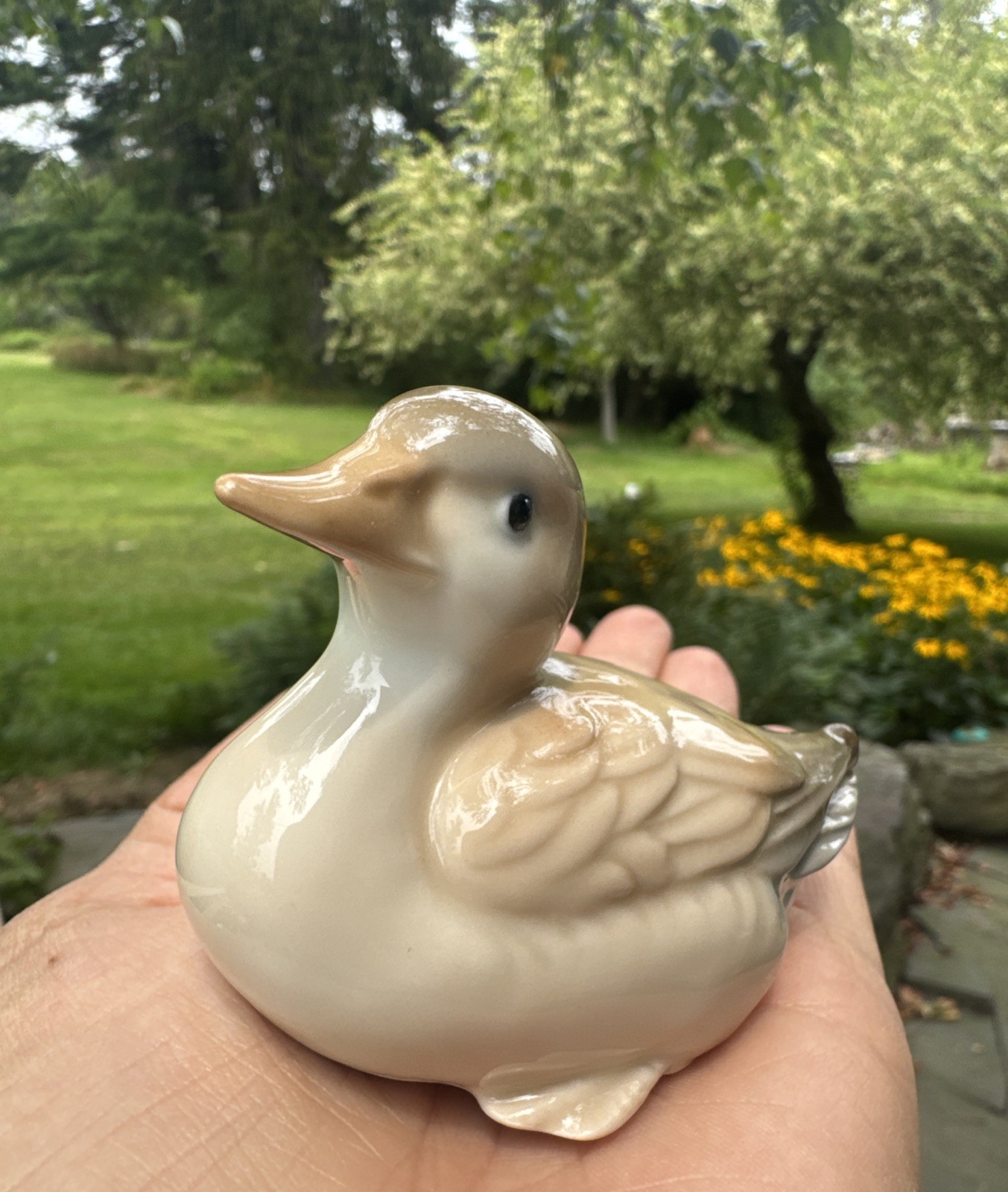 Picture 5 of 6