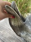 Bild 9 von 12