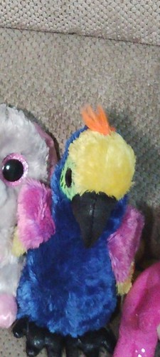 beanie boos - Picture 13 of 16