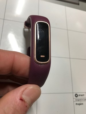 vivosmart 4 purple