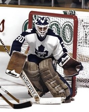 5 X photo HOCKEY  PHOTO PRINT ALLAN BESTER GOALIE TORONTO DETROIT TORONTO +