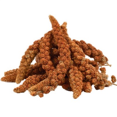 15 kg Kolbenhirse rot Vogelfutter Sittiche Kanarienvögel Vögel Hirse Lyra Pet 