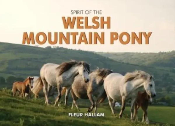 Fleur Hallam | Spirit of The Welsh Mountain Pony | Buch | Englisch (2010)-image