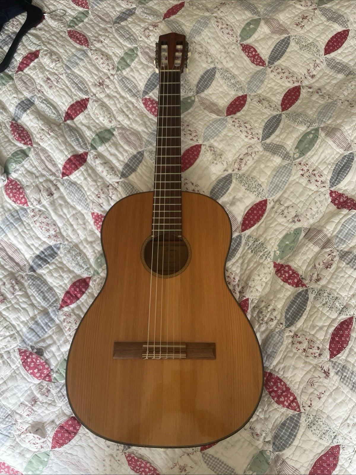 Picture 5 of 20