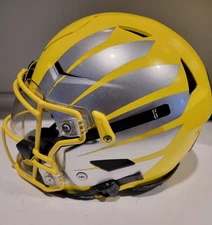 Game Used Oregon Ducks Football Helmet