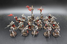 Warhammer Age of Sigmar Cities of Sigmar Freeguild Fusiliers Unit Painted