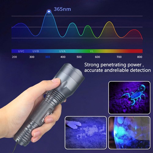 UV 3*LED Taschenlampe 365nm Scorpion Bernstein Schwarzlicht Handlampe &AKKU Kit - Bild 3 von 13