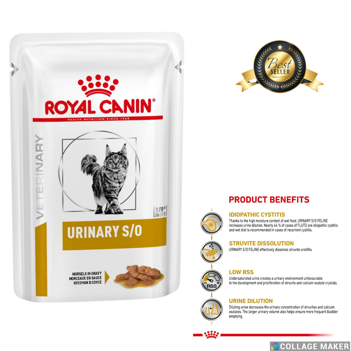 Urinary Royal Canin S/O Cat Food Struvite Stones Morsels Gravy