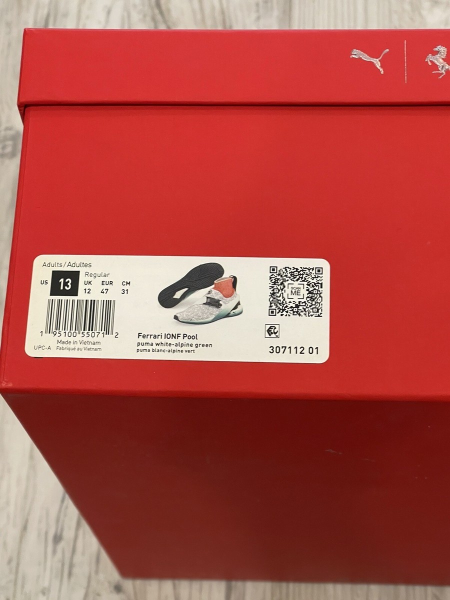 Size 13- Ferrari IONF Pool, Men display picture 1