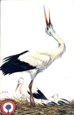 Künstler Ak Igor, Cigognes d'Alsace, Elsässer Störche, Kokarde - 4628314