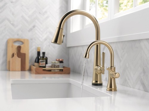 Delta 1920-DST Transitional 1.5 GPM Cold Only Water Dispenser - Bronze - Picture 5 of 11
