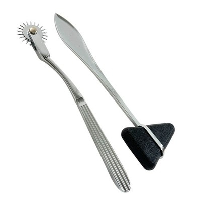 Neuro Diagnostics Testing Set- Single-Spur Neurowheel + Taylor Percussion Hammer