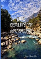 Richard Owen | The Reality Of Afterlife | Taschenbuch | Englisch (2021)