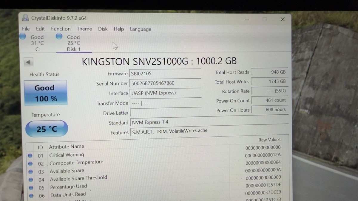 Kingston 1TB SNV2S1000G M.2 NVMe Gen4 SSD Health100% Usage 608