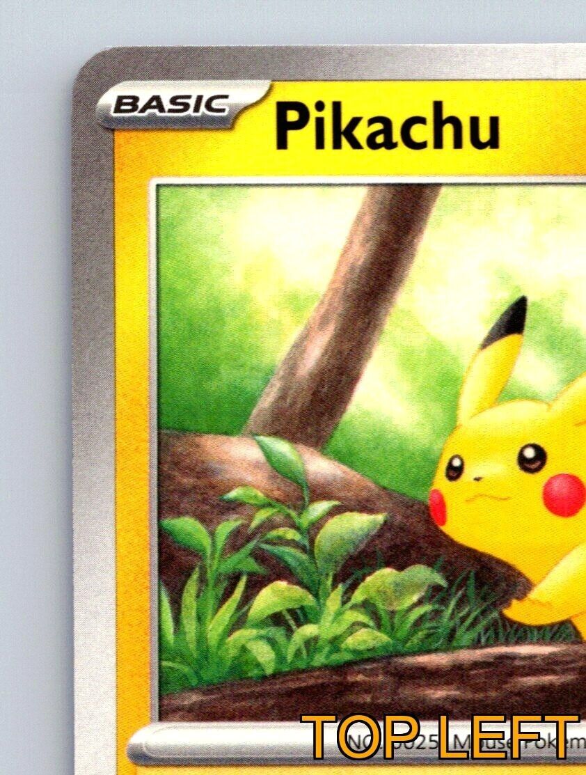 Pikachu HP 60 Charge Ability Pika Punch Attack Yellow Pikachu HP 60 Charge Ability Pika Punch Attack Yellow