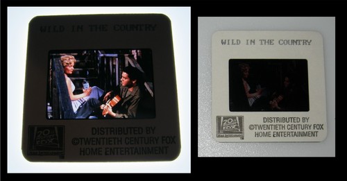 Orig WILD IN THE COUNTRY 35mm Stamped HomeVideo Slide ELVIS PRESLEY Tuesday Weld
