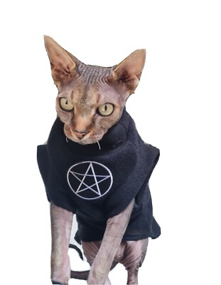 sphynx cat jumper